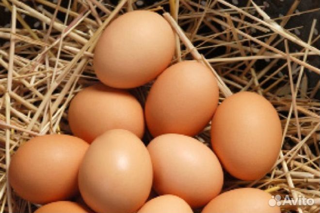 Продам домашние куриные яйца крупные купить на Зозу.ру - фотография № 2