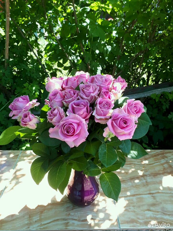 Розы Букеты 101 роза - 4000 тр купить на Зозу.ру - фотография № 10