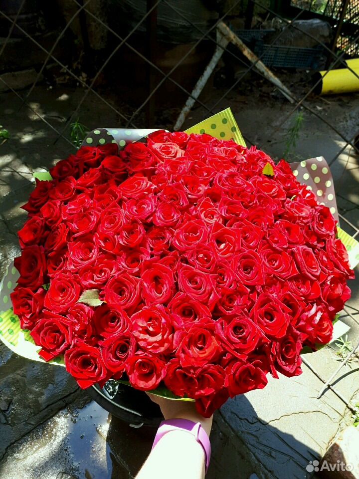 Розы Букеты 101 роза - 4000 тр купить на Зозу.ру - фотография № 2