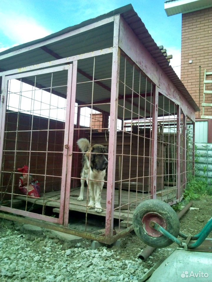 Вадьер для собаки купить на Зозу.ру - фотография № 1
