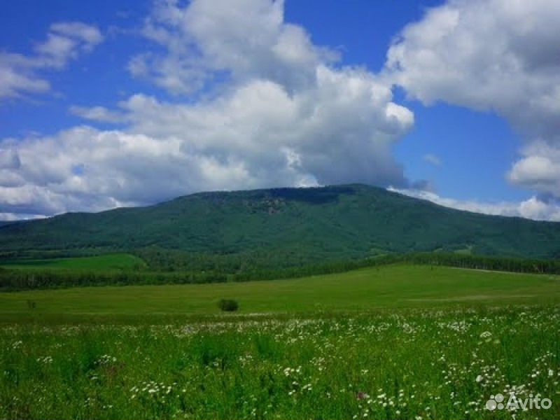 Идринский Район Фото