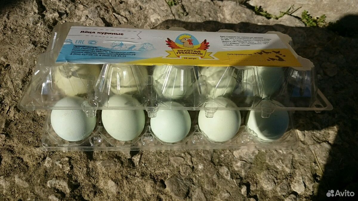 Инкубационное яйцо Амераукана и Китайской шелковой купить на Зозу.ру - фотография № 1