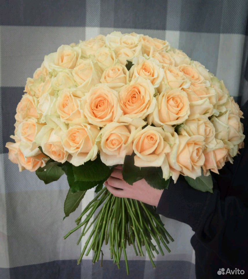 Цветы, букет 101 роза, 50 см. Доставка купить на Зозу.ру - фотография № 1