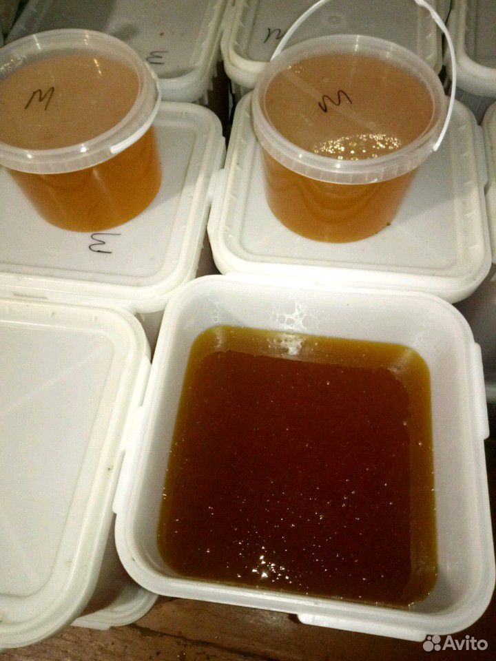 Продам мед из Тамбовской области купить на Зозу.ру - фотография № 2