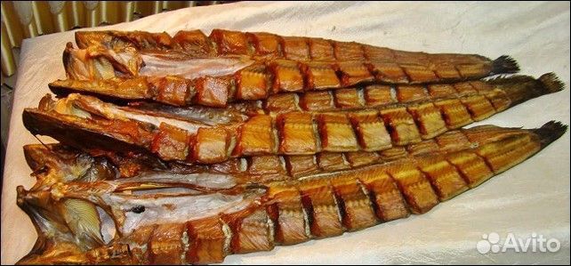 Рыба сом,сазан,вобла холодного копчения купить на Зозу.ру - фотография № 1