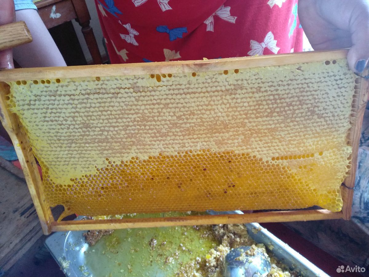 Мёд, вкусный, натуральный купить на Зозу.ру - фотография № 1