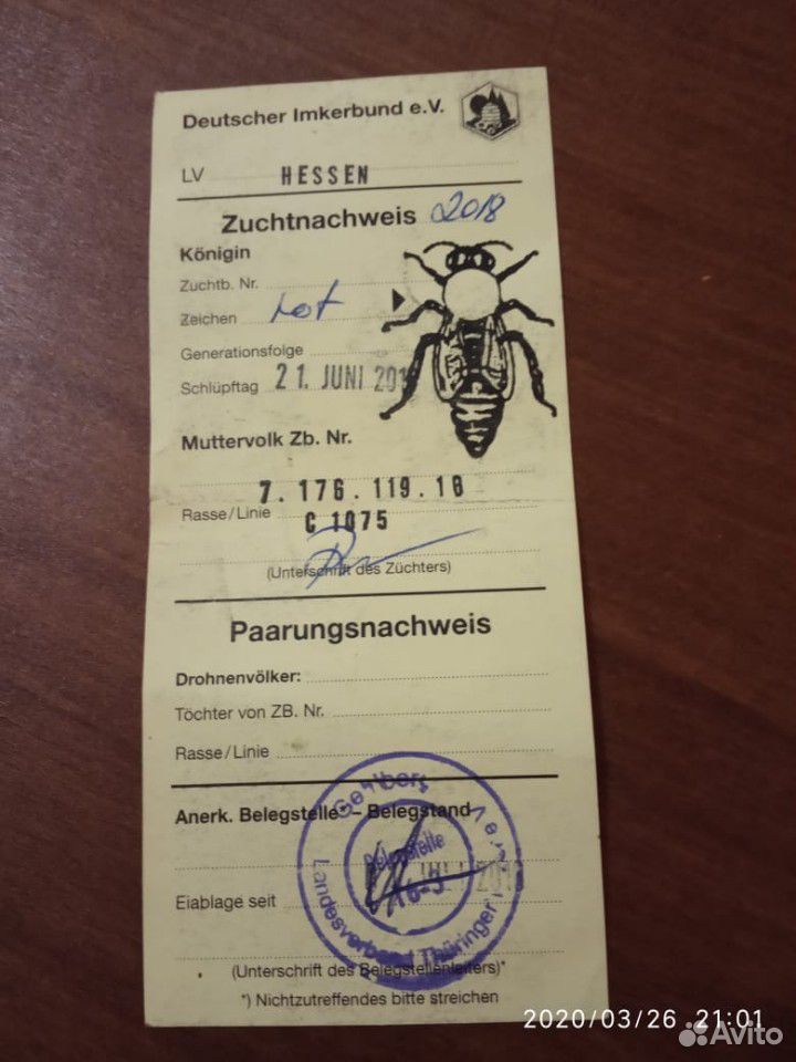 Пчелосемьи Карника купить на Зозу.ру - фотография № 5