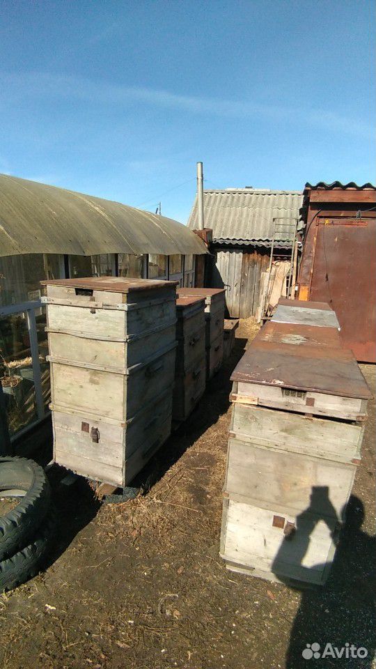Пчеловодные ульи купить на Зозу.ру - фотография № 6