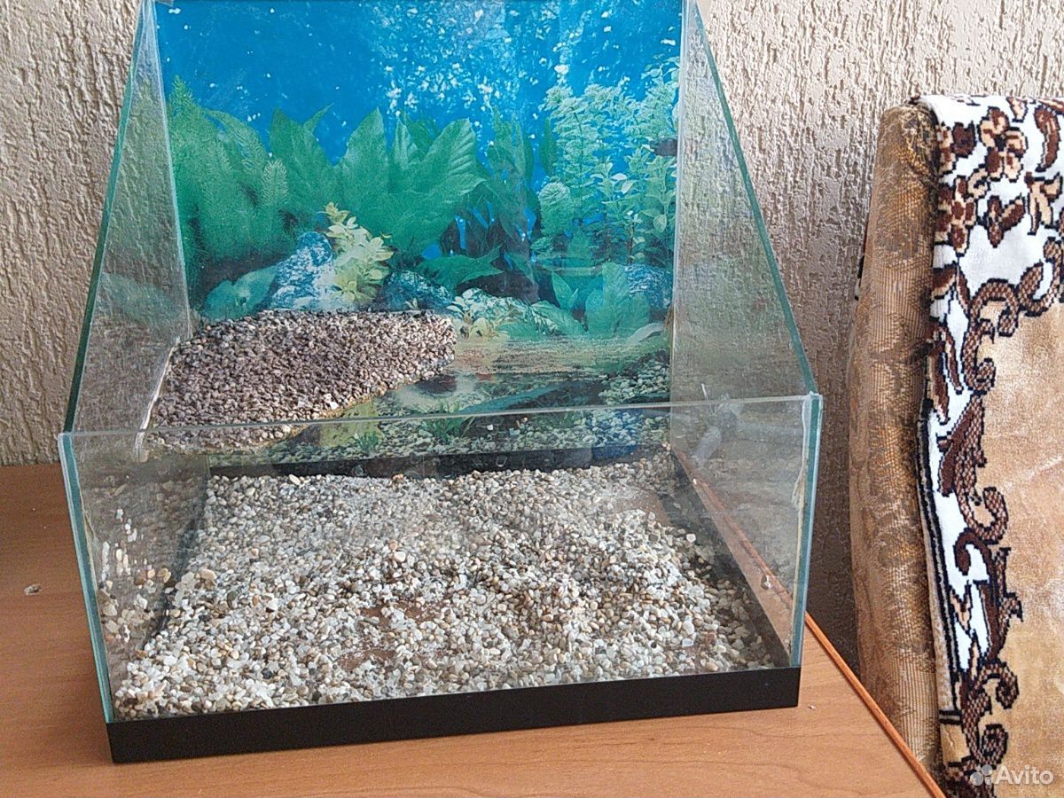 Аквариум для черепах и рыбок купить на Зозу.ру - фотография № 1