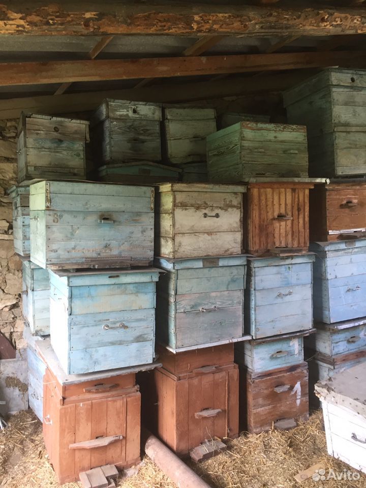 Коробки для пчёл пустые купить на Зозу.ру - фотография № 1