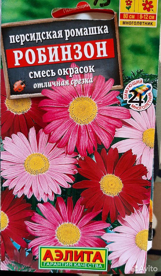 Рассада цветов купить на Зозу.ру - фотография № 1