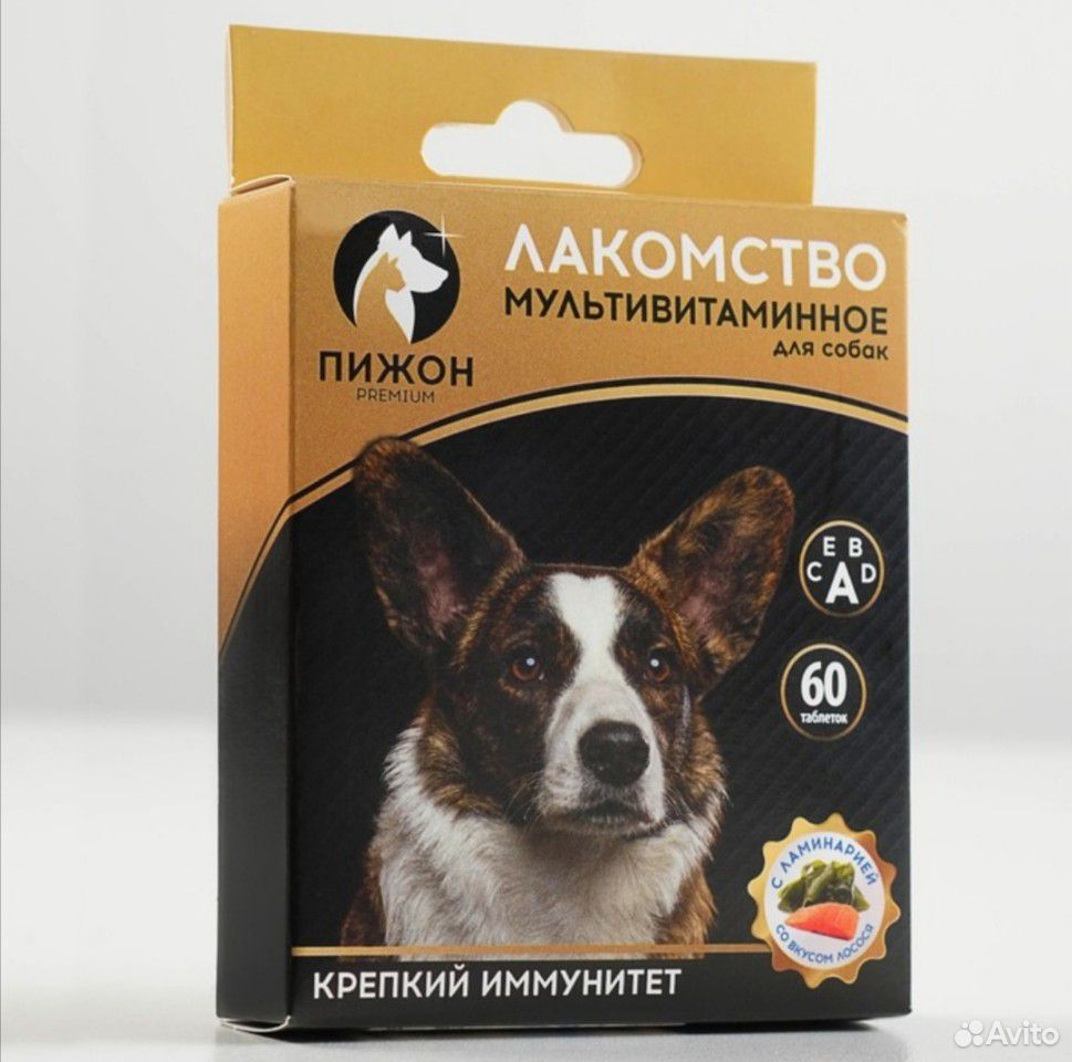 Ошейник, витамины для кошек и собак купить на Зозу.ру - фотография № 1