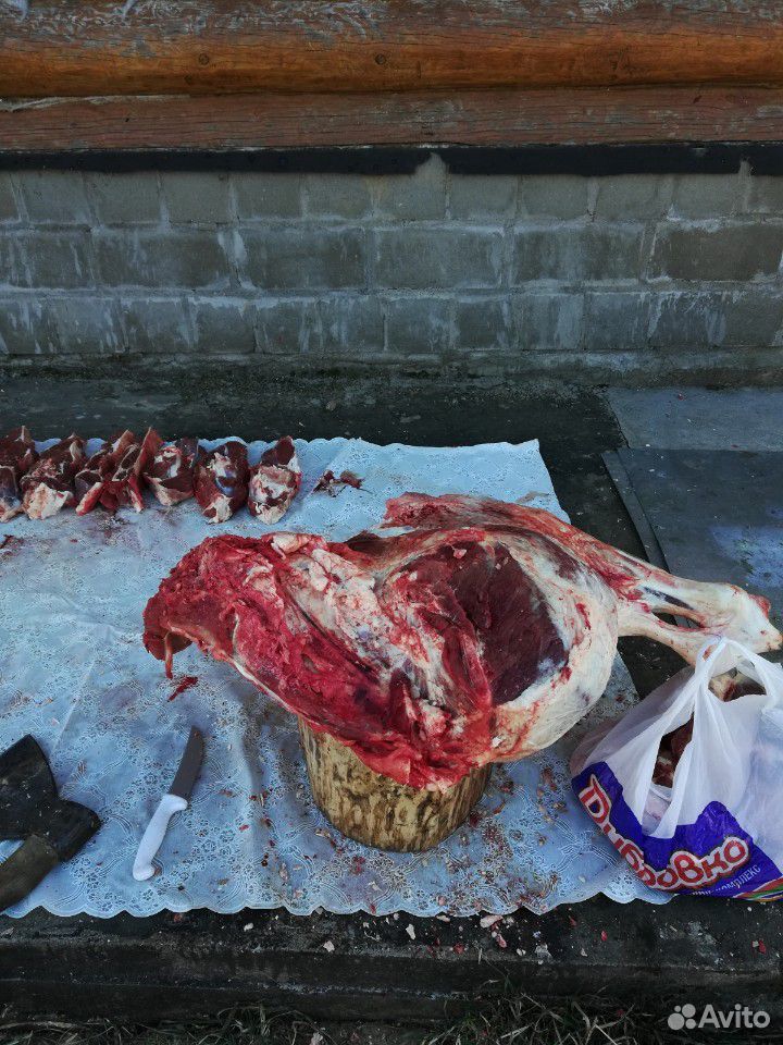 Мясо говядина и телятина купить на Зозу.ру - фотография № 6