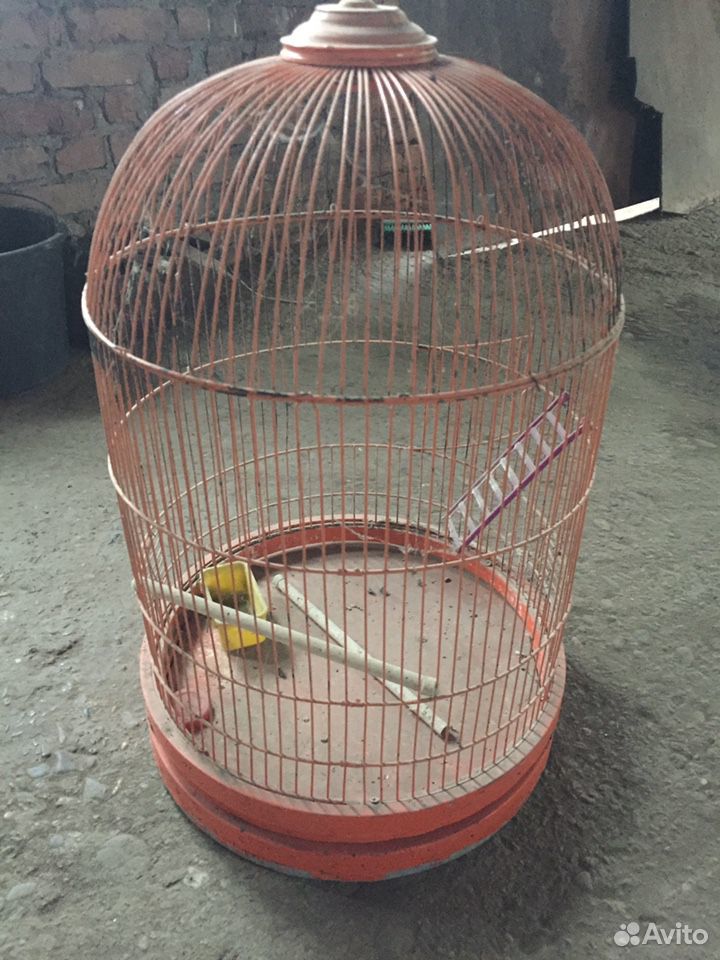 Клетка для птиц(попугаев) купить на Зозу.ру - фотография № 1