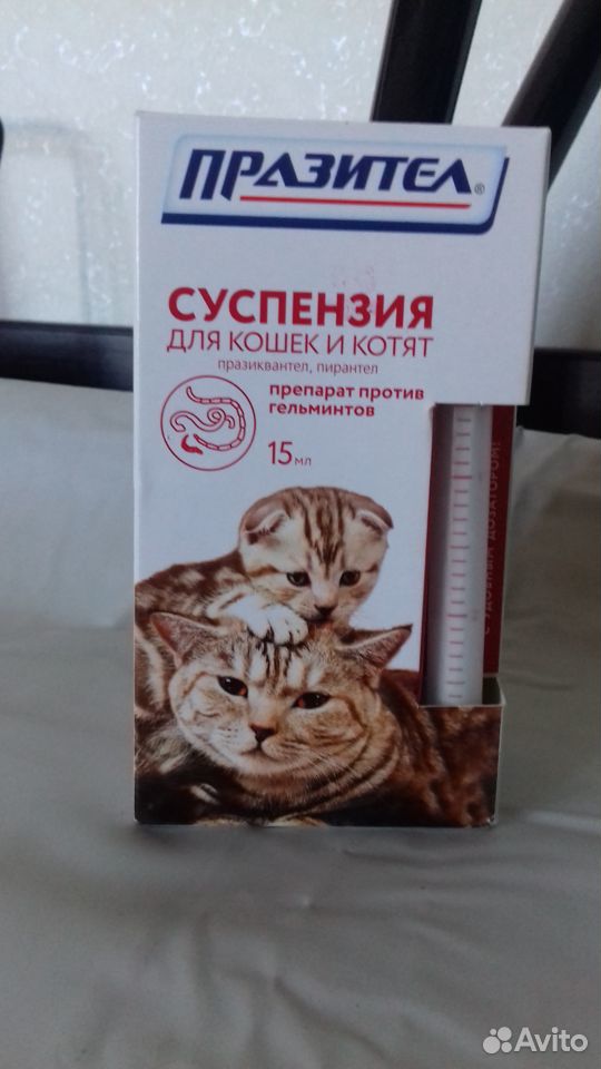 Празител для кошек и котят (суспензия) купить на Зозу.ру - фотография № 1