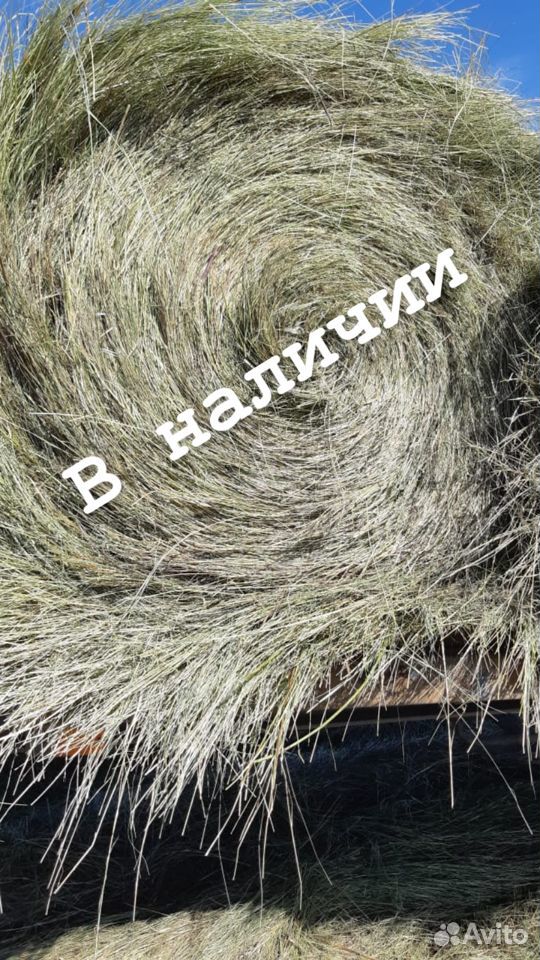 Свежий урожай сено пересованное в рулоны купить на Зозу.ру - фотография № 1