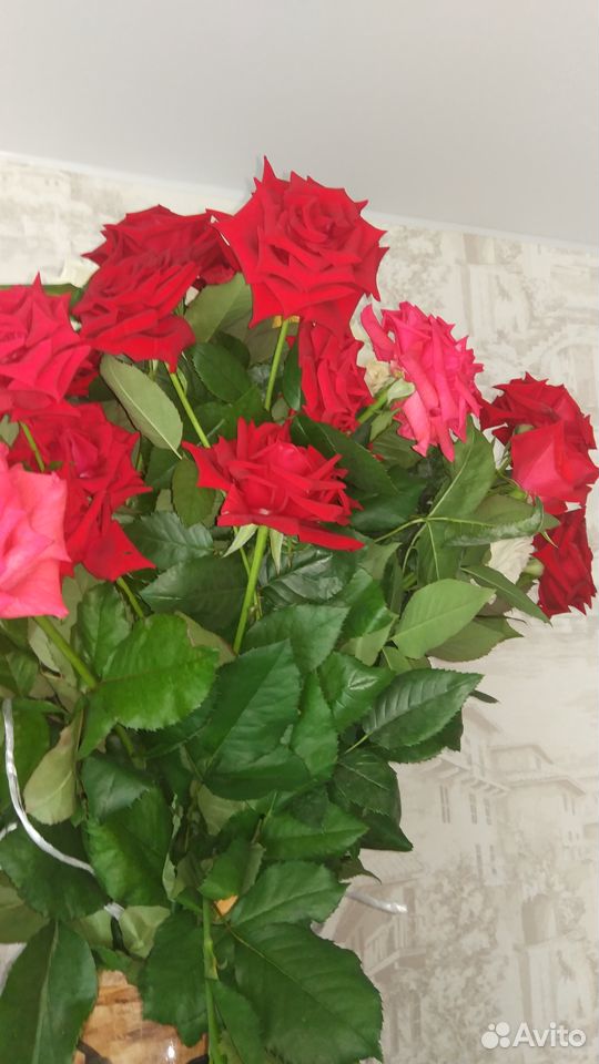 Продаю розы с куста купить на Зозу.ру - фотография № 3