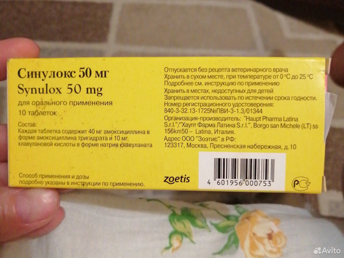 Синулокс 50 мг купить на Зозу.ру - фотография № 1
