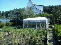 Купить Дачу В Горельском Лесхозе Тамбовской Области