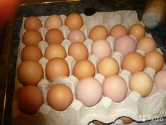 Яйца от домашних сельских кур