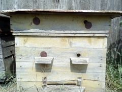 Продаются ульи для пчел