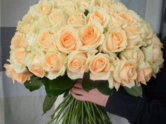 Цветы, букет 101 роза, 50 см. Доставка