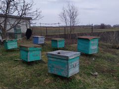 Ульи и все необходимое для пчеловода