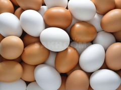 Яйца домашние