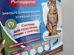 Система для приучения котика к туалету