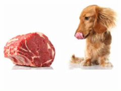 Продам мясо для собак