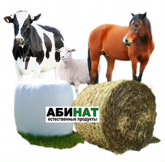 Корма для сельскохозяйственных животных