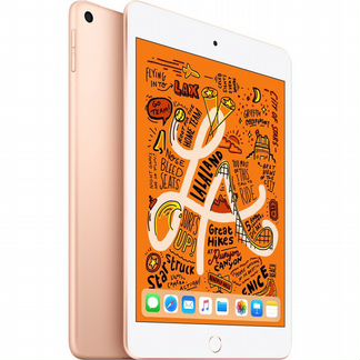 iPad mini 5 64gb+cellular gold