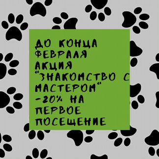 Стрижка собак и кошек в Вологде