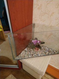 Угловой аквариум на 50 литров