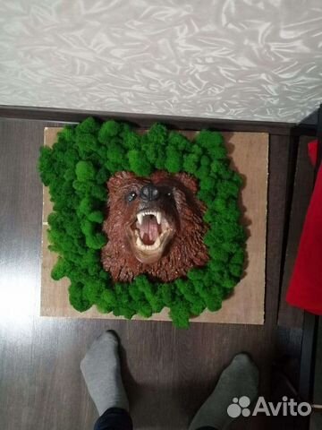 Стабилизированный мох.кг