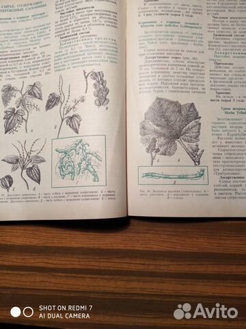 Лекарственное растительное сырье и препараты