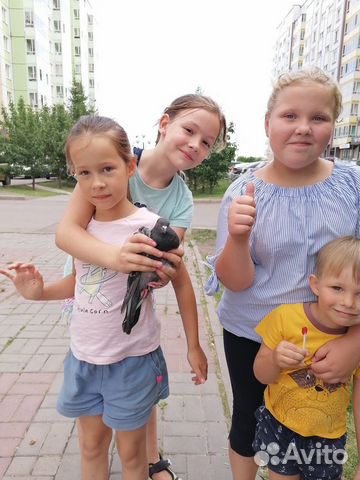 Подготовка к школе, летняя продлёнка