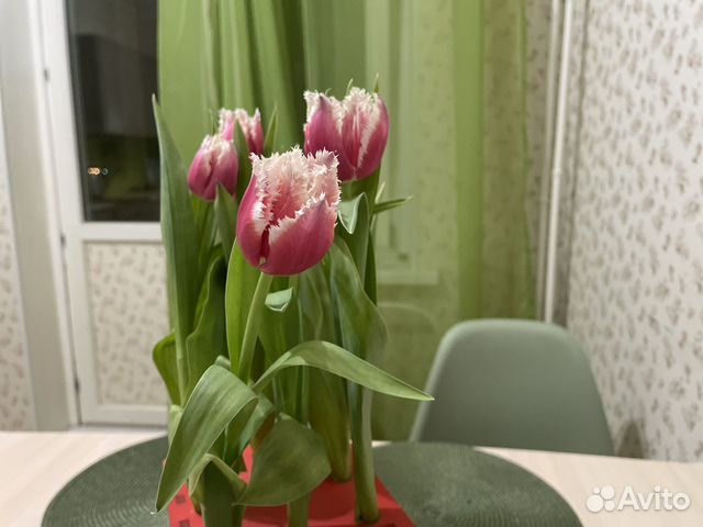 

1-к. квартира, 45 м², 2 кровати