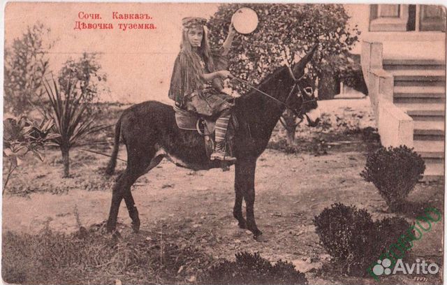 Сочи. открытки до 1917 гг