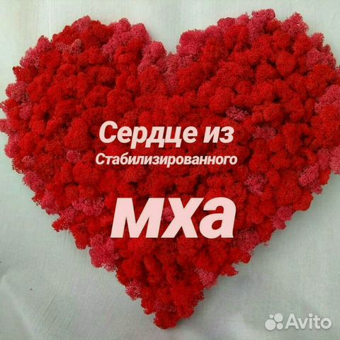 Стабилизированный мох Стабилизированный мох