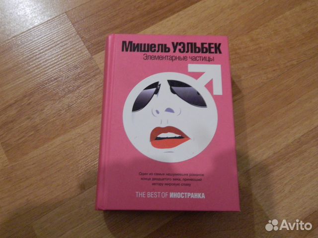 Мишель уэльбек карта и территория читать онлайн бесплатно полную версию