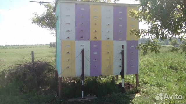 Пчелопавельон купить на Зозу.ру - фотография № 1