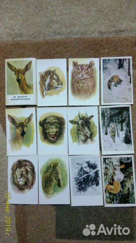 Наборы открыток: в мире животных (неполный), город