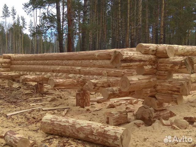 Срубы домов и бань Срубы домов и бань