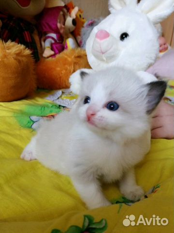 Малыши кукольные на праздники Малыши кукольные на праздники