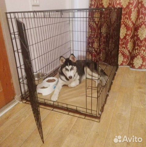 Клетка для собаки абсолютно новая
