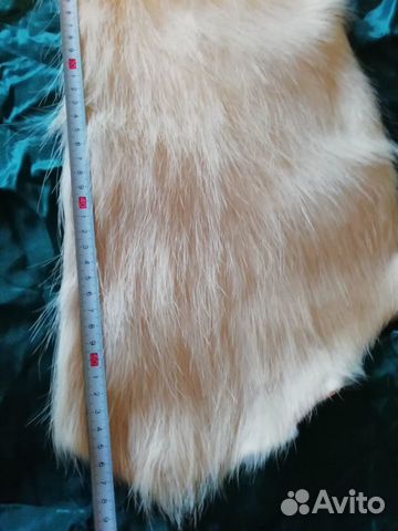 Шкурка ондатры (или нутрии) Шкурка ондатры (или нутрии)