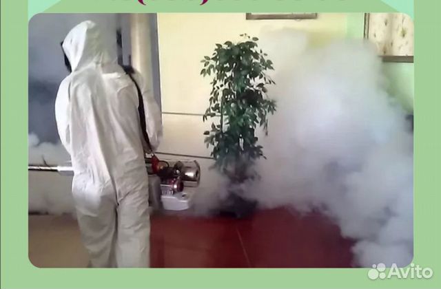 Уничтожение всех видов насекомых и грызунов Уничтожение всех видов насекомых и грызунов