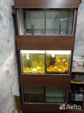 Стелаж с аквариумами купить на Зозу.ру - фотография № 1
