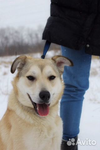 Отдам в хорошие руки, нежная Девочка Флёр